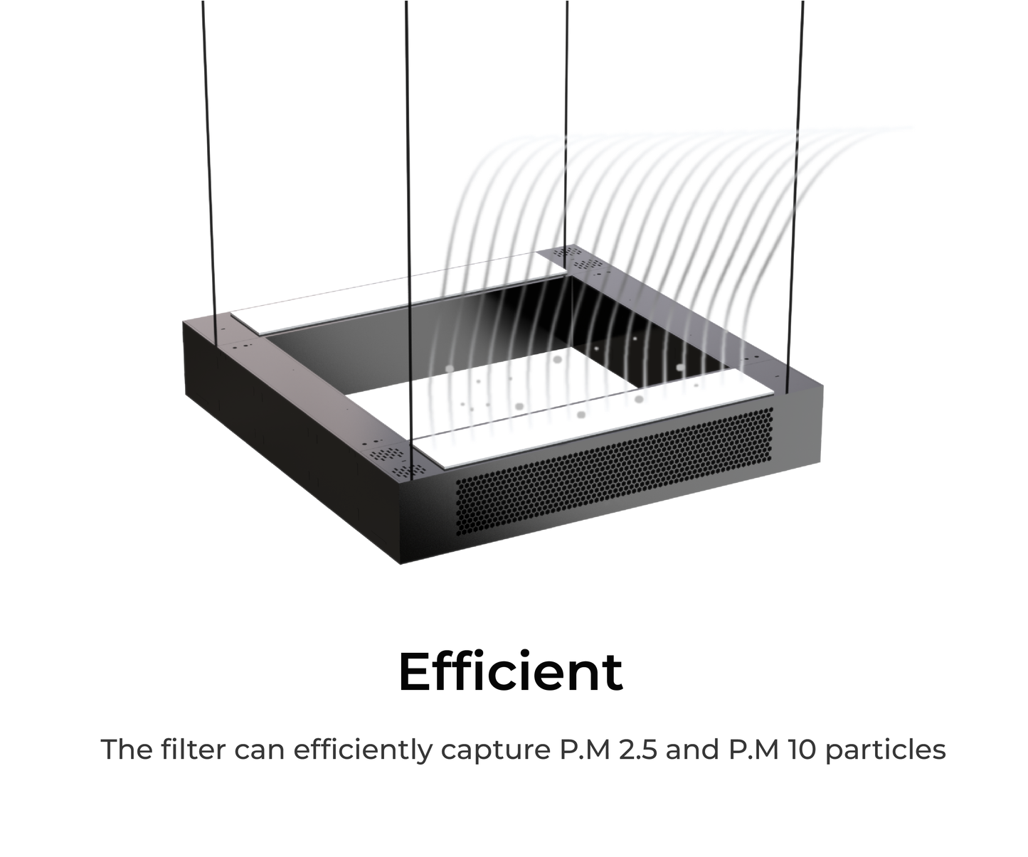 Biodegradable Filter - Set of 2