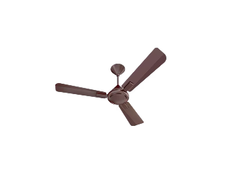 Traditional Fan